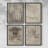 Vintage Sketch LXXX  Framed Print - Set of 4-1481407051-1481407048