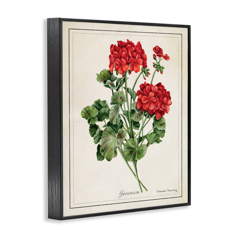 «Vivid Red Geranium Blossoms», art de la giclée encadrée, design par Danielle Murray, H 14 po x l 11 po