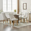 Rayon Cloth Flocking Chenille Dining Chairs-416478658