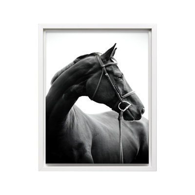 Portrait de cheval n ° 2