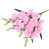 Pink is out of stock