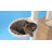 Dighton 65.6'' H Cat Tree