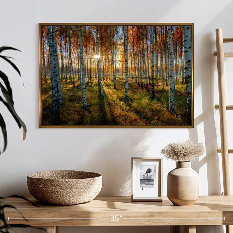 Forêt de bouleaux suédois, Cadre flottant doré, 25 po x 17 po