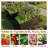 2-Pack 6X3x2 FT Galvanized Metal Raised Garden Beds, Reinforced Rustproof Colored Steel Planter Boxes For Vegetables, Flowers, Herbs And Succulents Outdoor-2037104060-2037104059