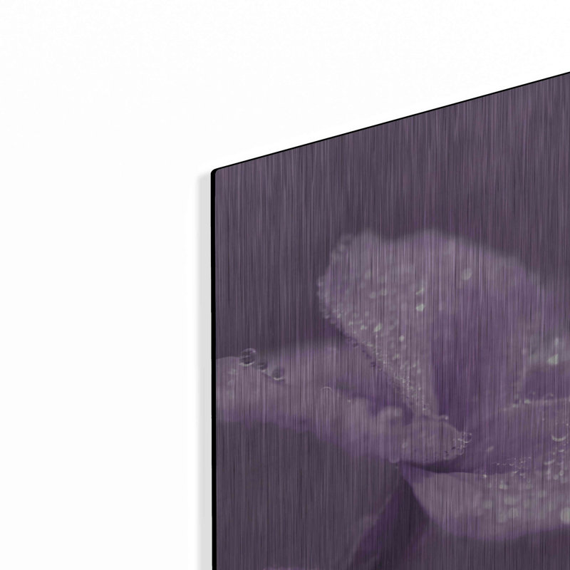 «Purple Dew» par Lori Deiter, H 16 po x l 24 po