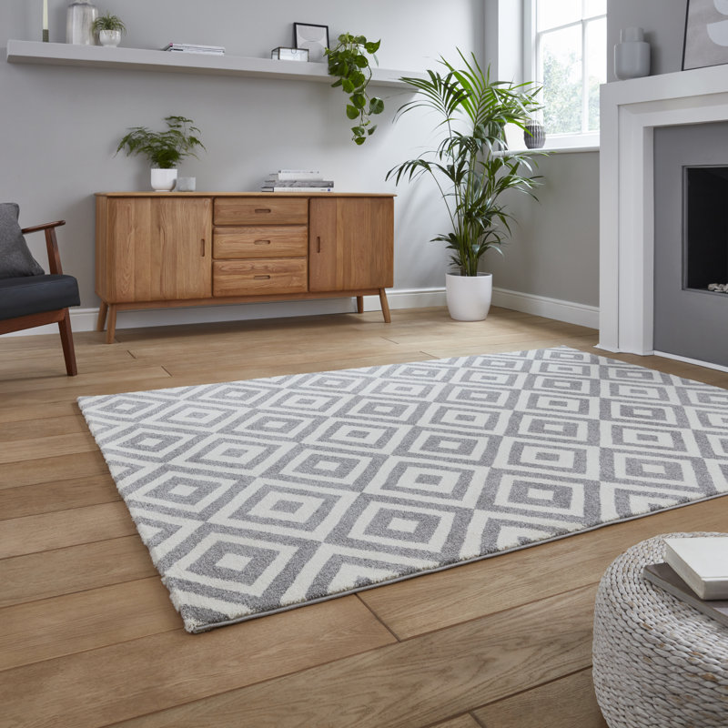 Stanaford area rug Machine Woven Rectangle Grey, Rectangle 160 x 220cm