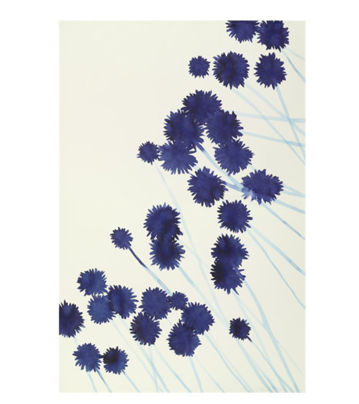 Plants VII Print by Hable Construction, Glass Coat, 36" H x 24" W