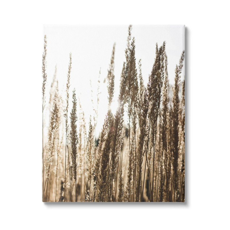Light ray bien que champ de blé - photographie sur toile tendue, H 20 po x l 16 po x P 1,5 po