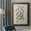 Antique Black & White Botanical IX - reproduction d'art sur toile-73974197