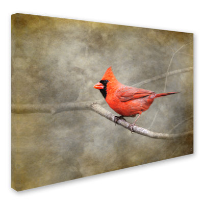 Vidur 'His Red Glory Cardinal' Graphic Art Print on Wrapped Canvas