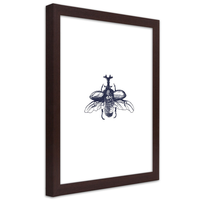 Beetle Insect - Single Picture Frame Print, 100cm H x 70cm W, Brown