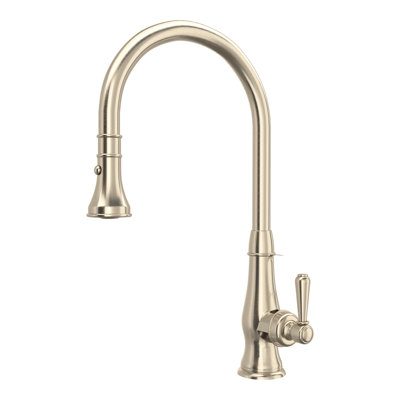 Patrizia™ Pull Down Single Handle Kitchen Faucet with Accessories