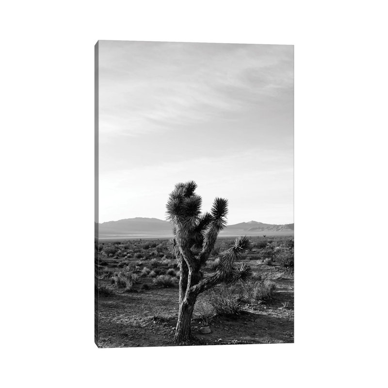 Joshua Tree Sunrise III by Bethany Young - Print on Canvas, Wrapped Canvas, 152.4cm H x 101.6cm W x 3.81cm D