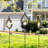 Copper Solar Powered Integrated LED Pathway Light