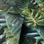 Papier peint Harlynn Green Monstera