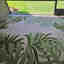 Customer photo 1 of 2