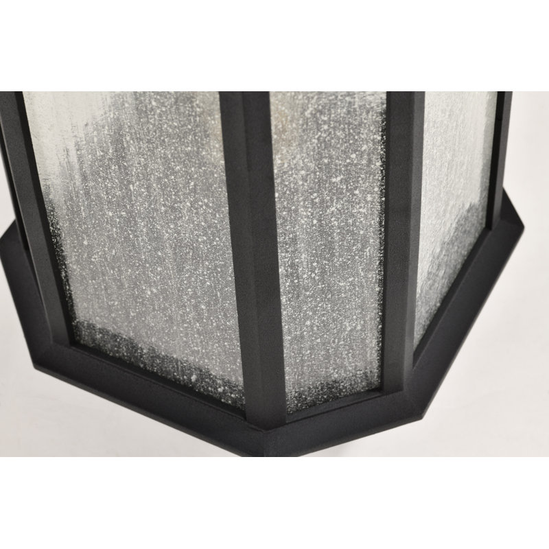 Seeded Lantern Head