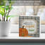 Plaque en bois massif autoportante Ophelia & Co. Hello Pumpkin