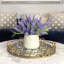 Ferdinand Heather en pot-28784517