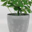 Taylur Pot Planter Concrete Effect Recycled Plastic-112123025-112123027