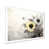 Cadre simple blanc