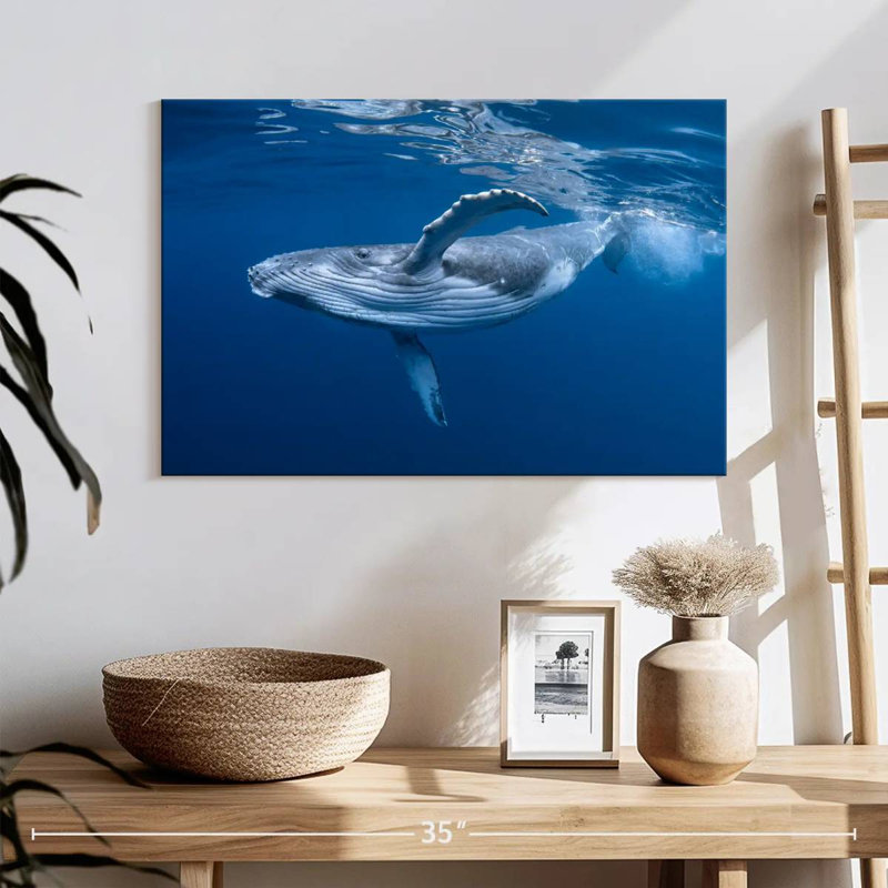 Brampt Baby Humpback Whale, 8" H x 12" W