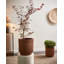 Pot Planter-541836436