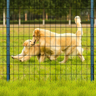 3 ft x 50 ft Black Garden Fence, Vinyl Coated Welded Wire, 14 GA, 2" x 3" Mesh, Rustproof Fence for Deer and Dogs