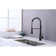 Red Cloud Pull Down Kitchen Faucet