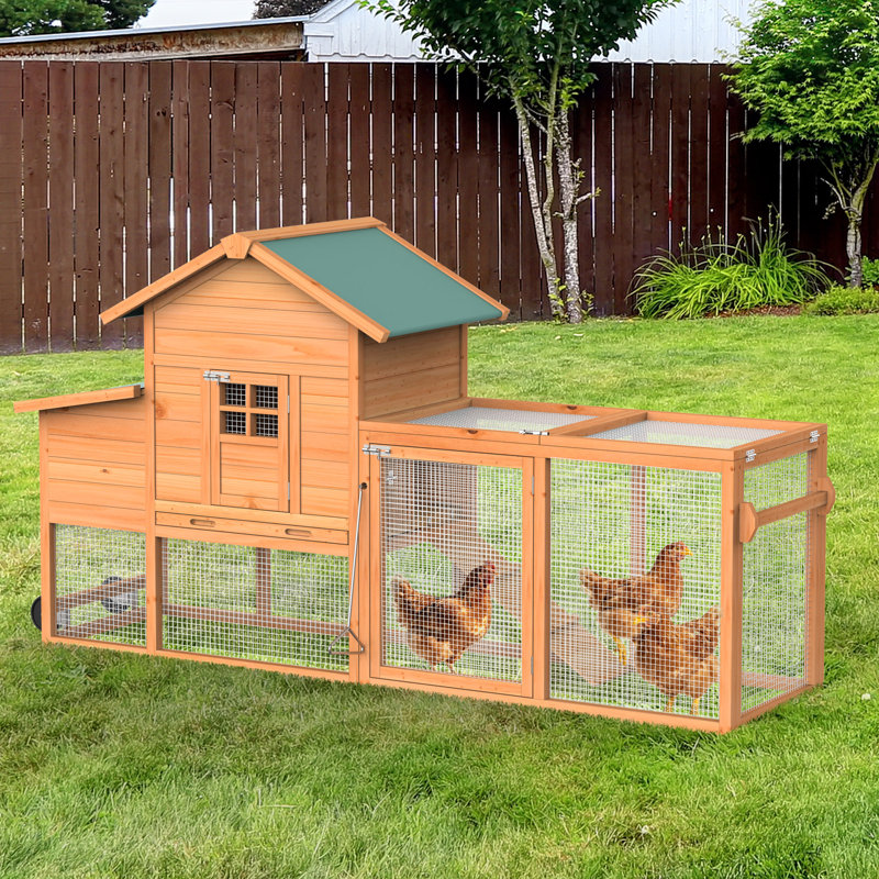 Cage à poules mobile avec roulettes