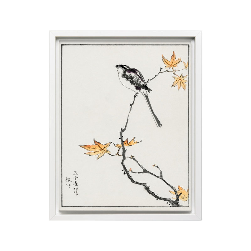 Mésange à longue queue et érable, Canevas, H 24 po x l 32 po, Encadrement blanc