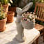 Statue de 19,5 pouces en ciment gris
