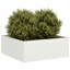 Planter Box-97387923-97387922