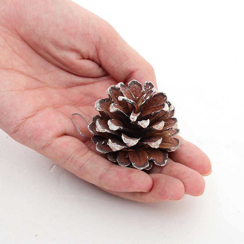 5cm Wood
