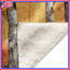 Birch Trees Sunset Blankets-125232749