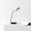 Eltisley Metal USB Desk Lamp