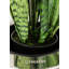Fausse plante dracéna en pot Rummond-49421110-49421111