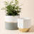 Chanko Ceramic Pot Planter-1027714657