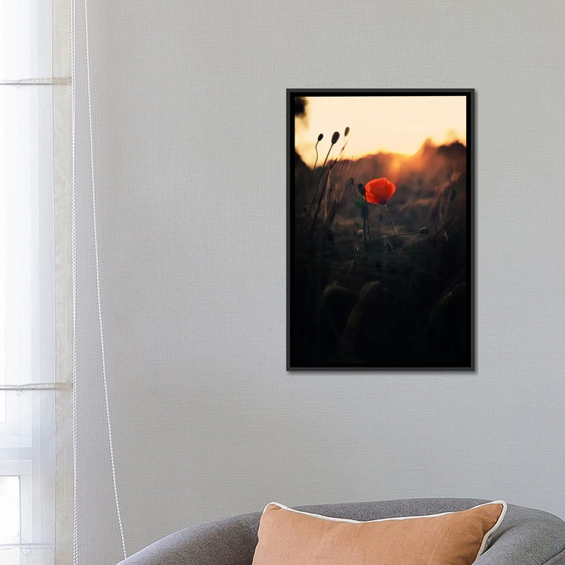 " Poppy " by Andreas Stridsberg, 26" H x 18" W x 1.5" D, Black Floater Framed Canvas, No Mat