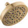 Multi Function Fixed Shower Head