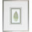 Fern6 Print