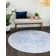 Layne Chenille Oriental Indoor Rug
