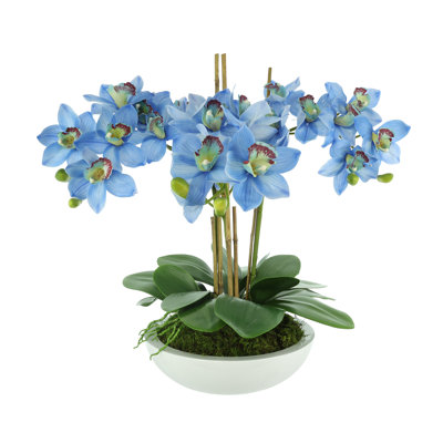 Orchids Arranged in Fiberstone Planter