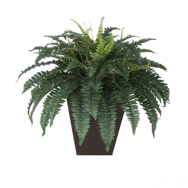 Plantes artificielles 12" en pot de fleurs, Brun mat