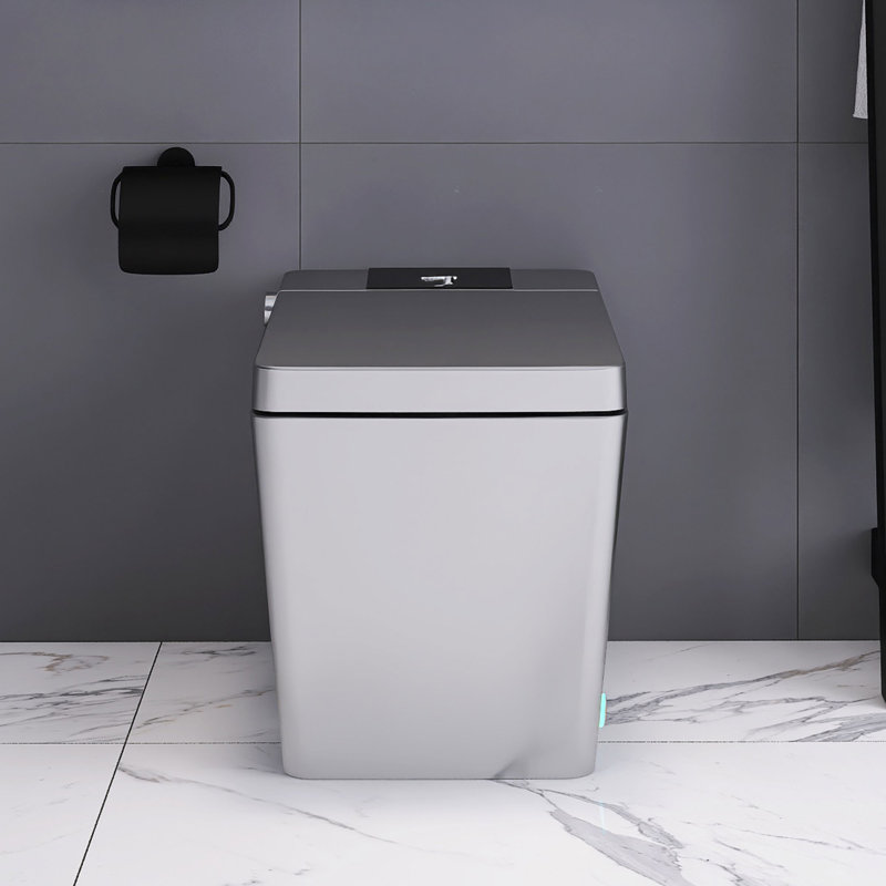 Toilette intelligente en céramique avec siège chauffant, Gris