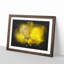 Yellow Butterfly - Framed Print-56842424-56842428