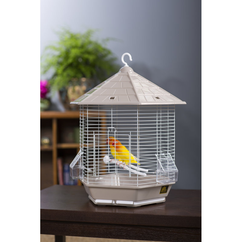 Borrero 21.5'' Plastic Pointed Top Hanging Bird Cage with Perch, Stone