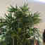 Customer photo 3 of 3