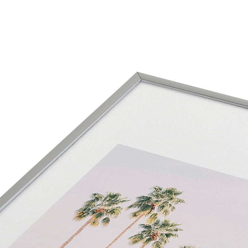Palm Springs encadré sur papier, H 19 po x l 13 po, Argent
