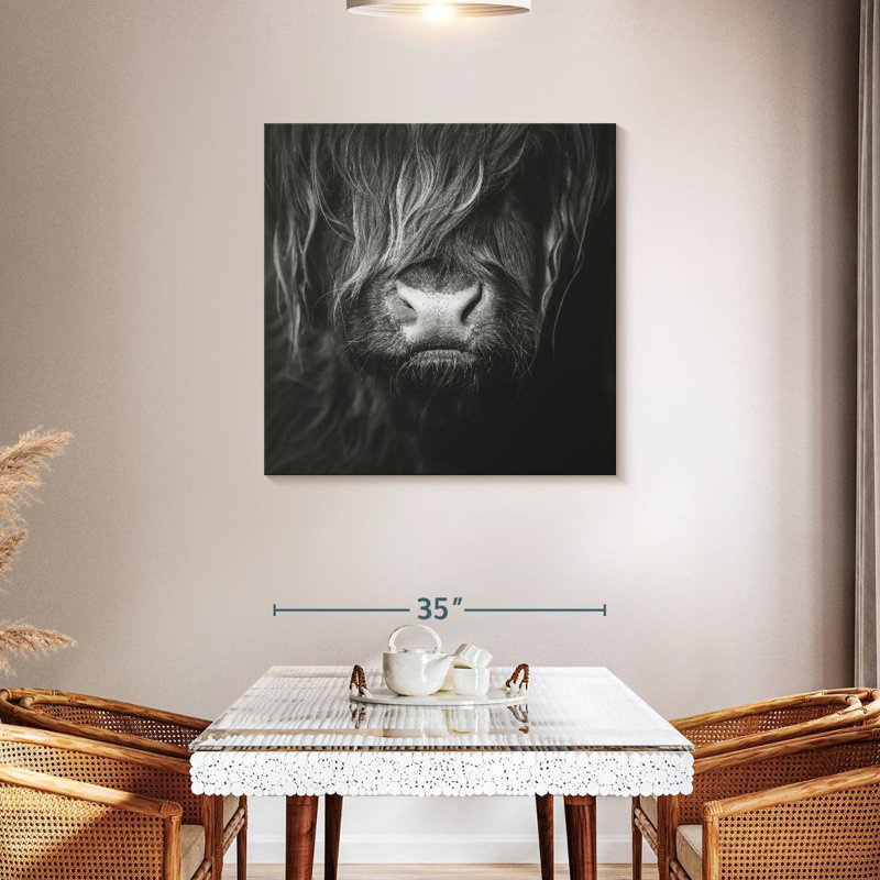 Visage de vache Brampt Highland